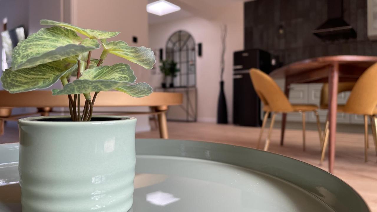 Malis-Ferienhaus Bad Harzburg Zewnętrze zdjęcie